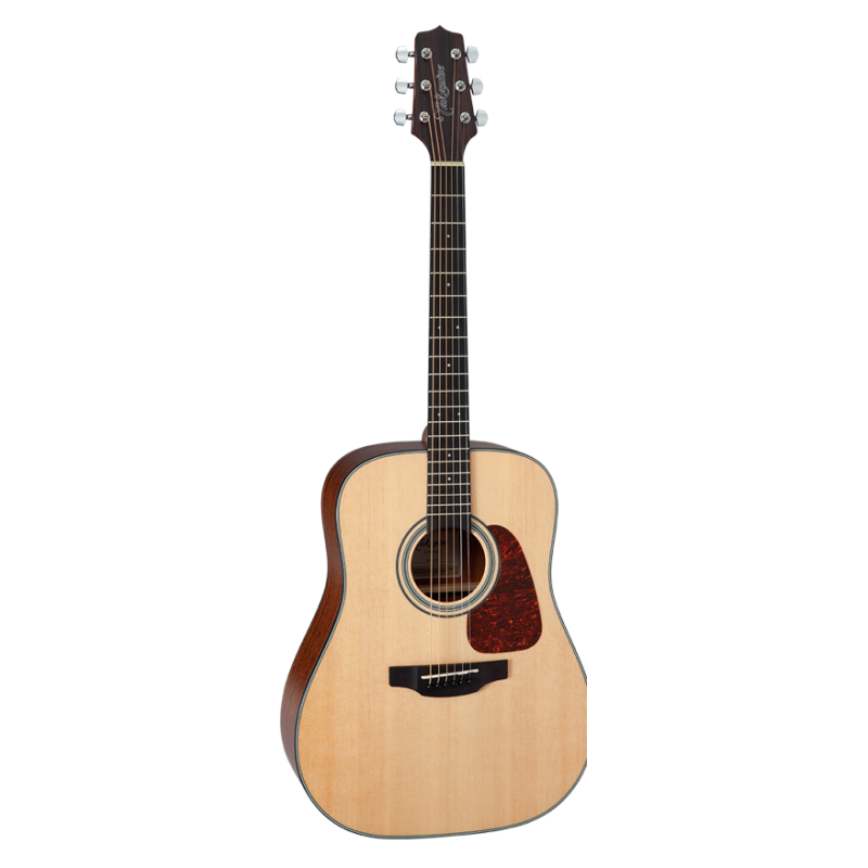 Takamine GD10NS Acoustic guitar